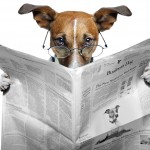 Newsletter SmalsResearch november 2015