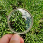 Honey, I scraped the kids – over taalmodellen en privacy