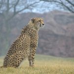 Comment préparer la migration vers la cryptographie post-quantique&nbsp;?